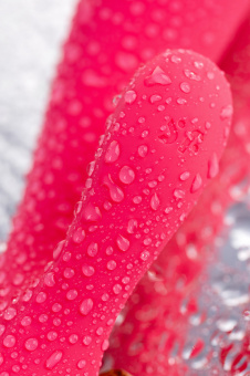 Вибратор Satisfyer Mono Flex, силикон, красный (смарт управление) 20,4 см.