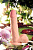 Реалистичный фаллоимитатор «Живое Тело» Toyfa Realstick Elite Dildo, tpr, телесный, 20 см.
