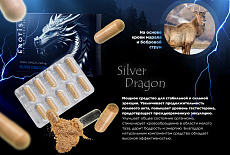Уникальный комплекс для мужчин Erotist Silver Dragon