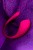 Виброяйцо Lovense Lush 3, силикон, розовый, 18 см.