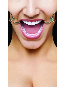 Фиолетовый расширяющий кляп Ouch Hook Gag